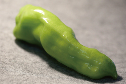 曝光补偿 揭秘最方便快捷的调节曝光方法