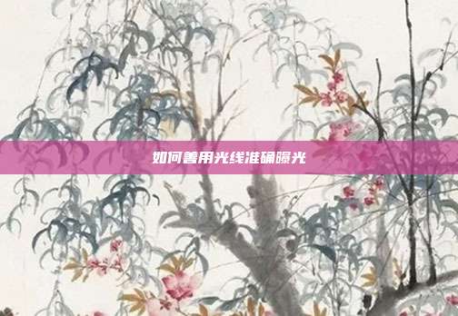 如何善用光线准确曝光